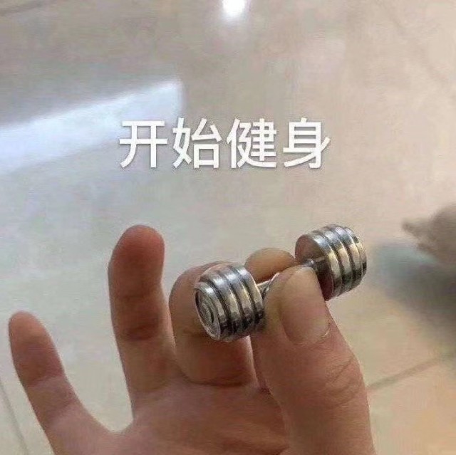 852425 一只小抹茶