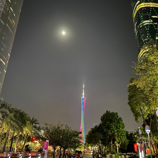 852793 盛夏的果实