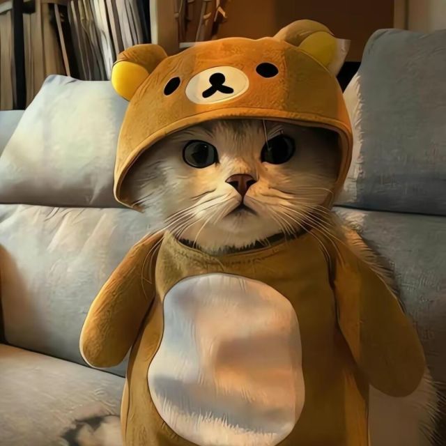 852881 木头的头