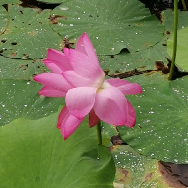 853412 同尘
