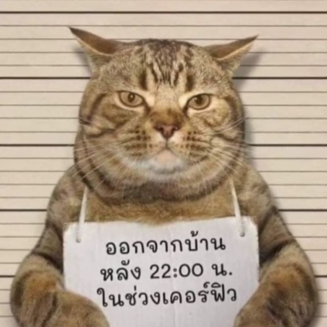 853615 鬼鬼沙