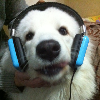 855698 ゛Tony ヅJaa