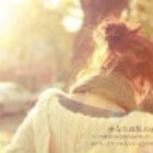 856559 Ruby-xin