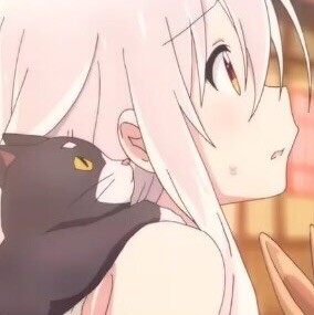 85658 论坛游侠