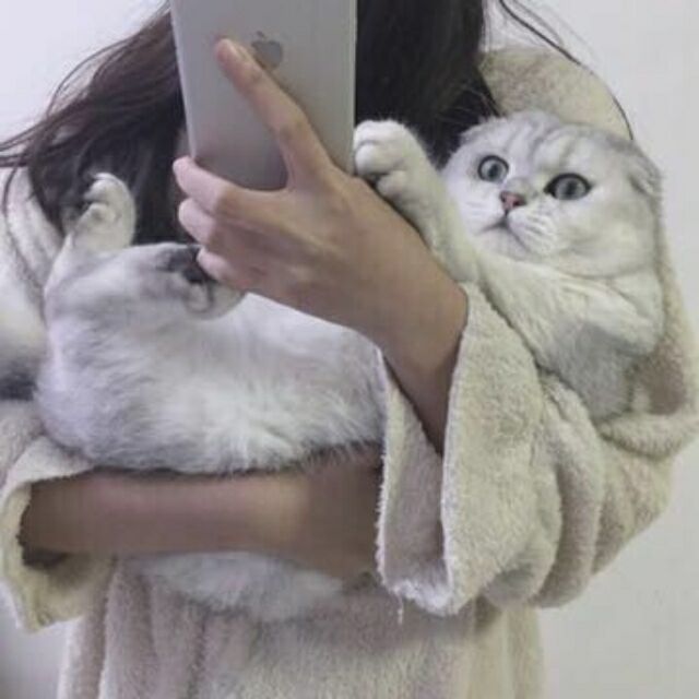 856694 老司机