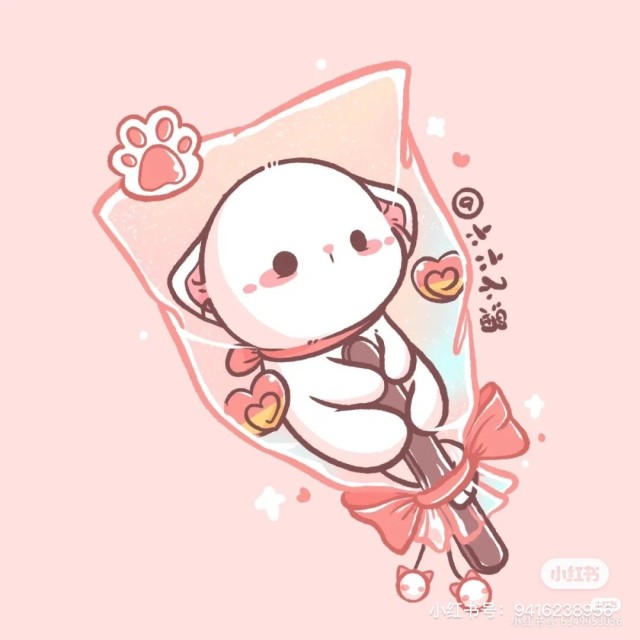 856811 COCO
