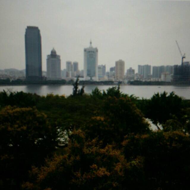 857295 厚道唐