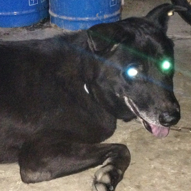 857789 十一