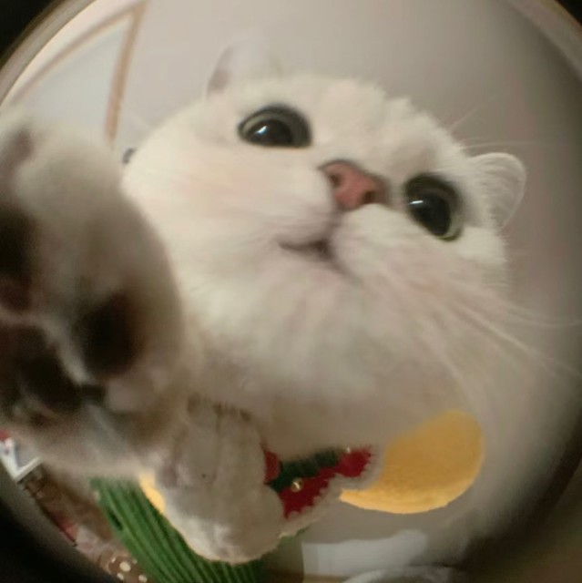 857839 暗恋