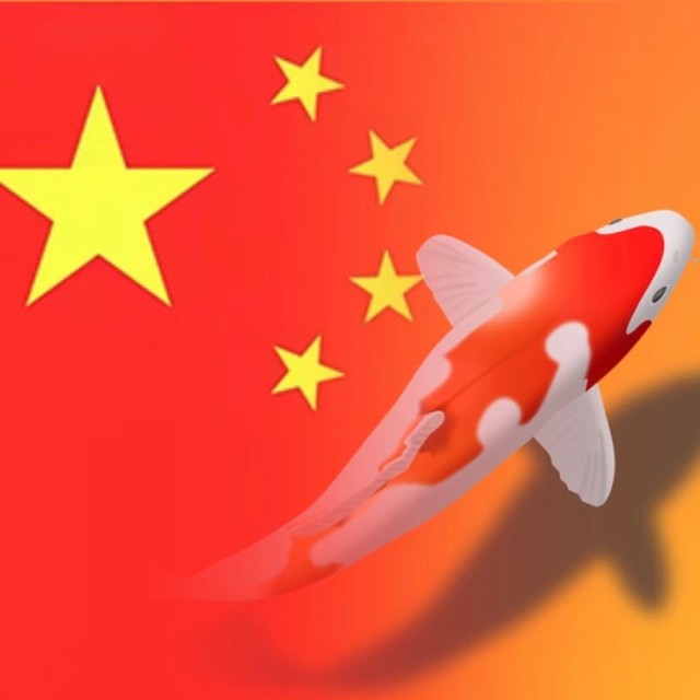 858512 邓佳