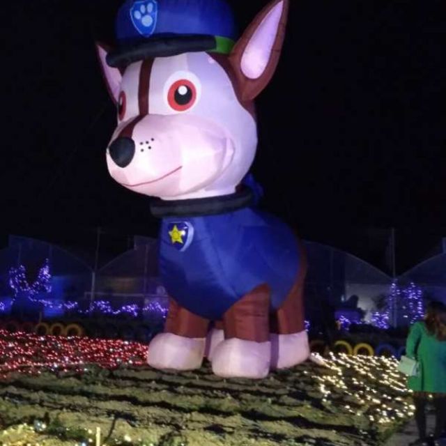 858935 大森林