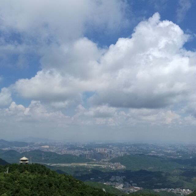 85947 Su