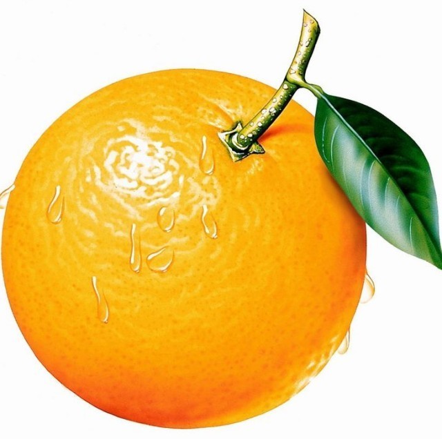 860764 橙子