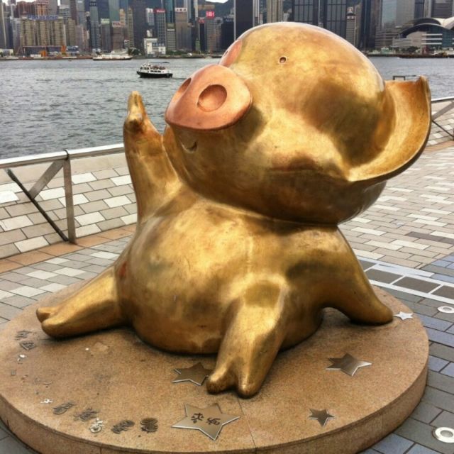 86244 苦丁茶/v