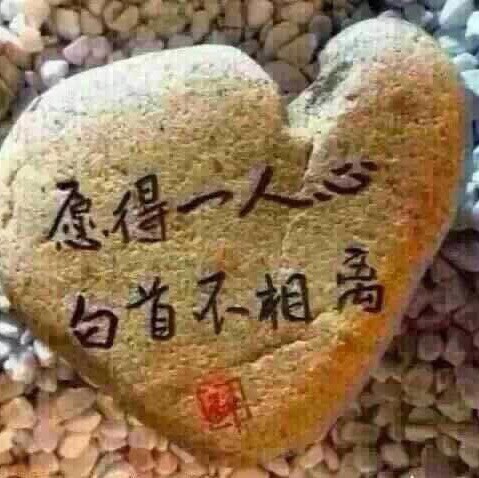 86269 "狮子座。