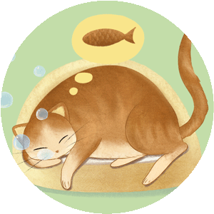 86438 练腹肌的猫