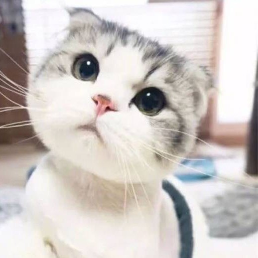 865255067 有酒有故事