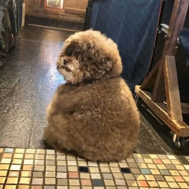 865402 绝望成灰的眼泪
