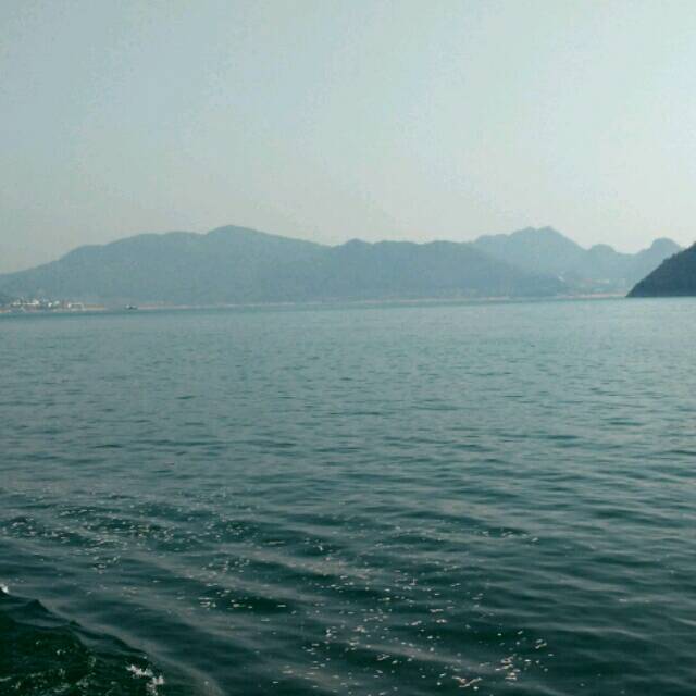 866501 华 