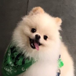 867882 腹黑的小冷