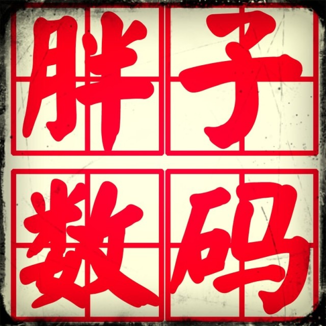 867939 胖子数码