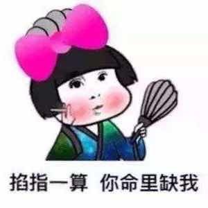 868580 薄荷情。