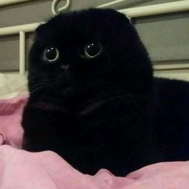 868794 澈
