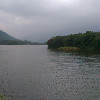 869069 雾里清秋
