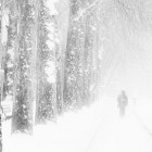 869886 踏雪无痕