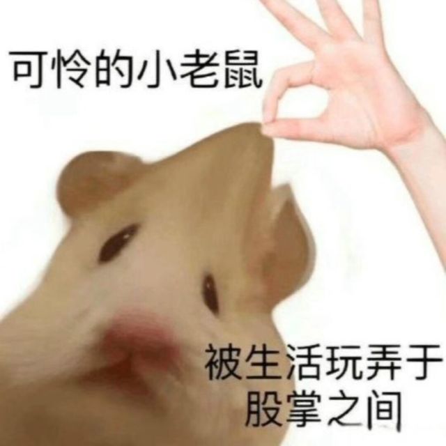 870072 大舜天赐