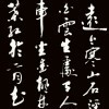 870440 鸽子