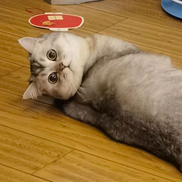 870820 微