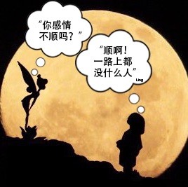 871354 阿兔