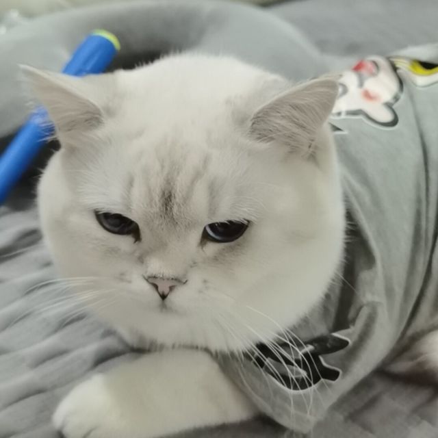 871496 咖啡不苦