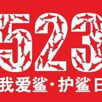 871842 大鲨鱼