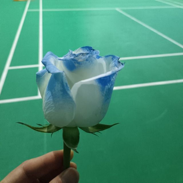 87201 后知后觉