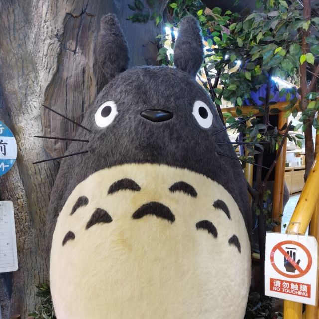 872358 猪头静