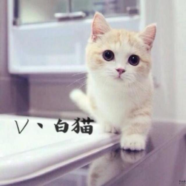 872465 V丶清醒着的梦