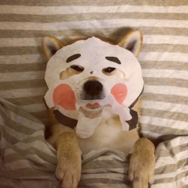 872538 卡小的西红柿