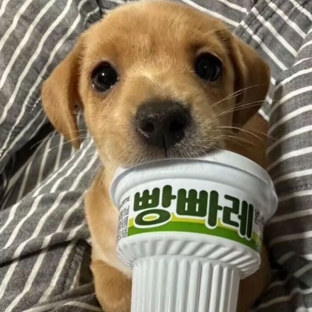 872712 赵奥祥