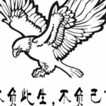 872802 山鹰客服号