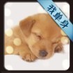 872822 ゞ路過荊棘灬