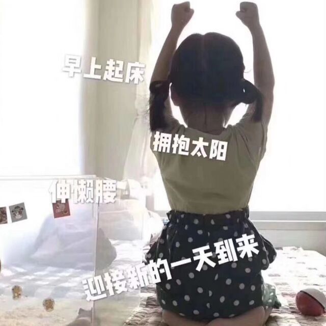 873291 ________龙猫