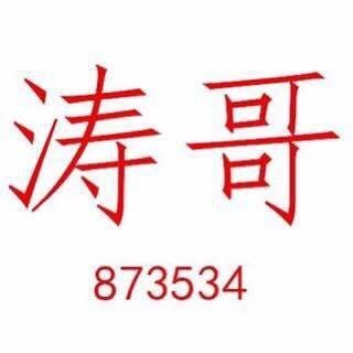 873534 涛哥原创项目缔造者