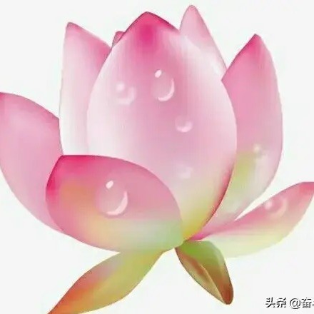 873622 蝴蝶