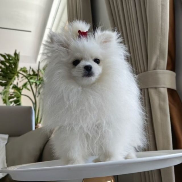 873956 ^☆、づ゛╪謎夨、ｄe尛