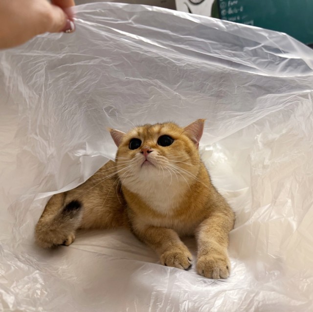 874107 牵ぶ伱の佑手