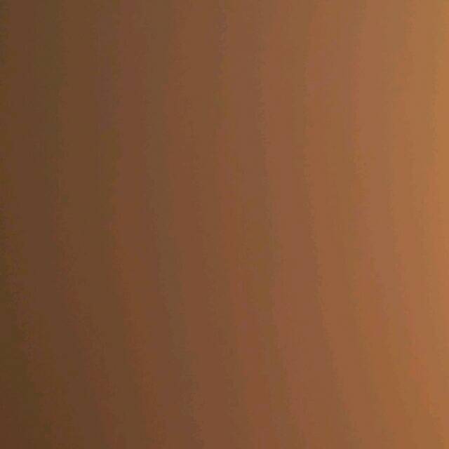 874691 卷毛