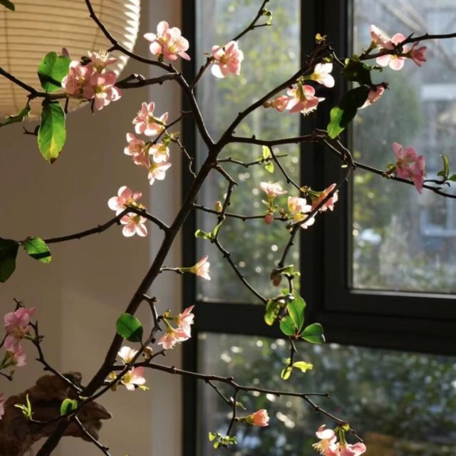 875142 三生三世十里桃花