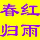 875366 红雨春归.